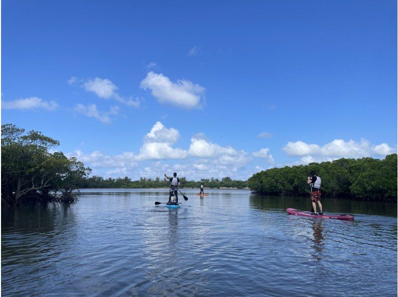 [Okinawa, Ishigaki Island] Absolutely popular Yaima Village and mangroves! Nagura Ampal SUP and Kayak Tour in the great outdoors Super Summer Sale 2024 YSKの紹介画像