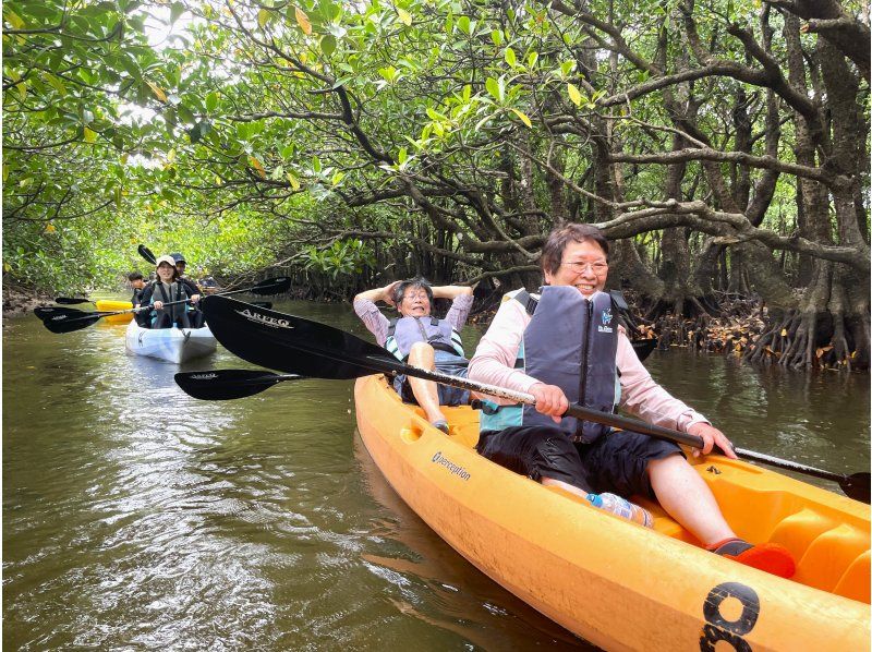 [Ishigaki Island Limited Course] Yaima Village Squirrel Monkey & Nagra Ampar Mangrove Tunnel, SUP or Kayak Free photography, pick-up and drop-off, and admission! Same-day reservations OK YSKの紹介画像