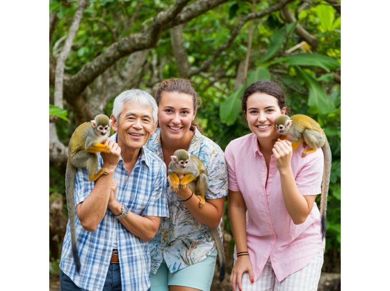 [Ishigaki Island Limited Course] Yaima Village Squirrel Monkey & Nagra Ampar Mangrove Tunnel, SUP or Kayak Free photography, pick-up and drop-off, and admission! Same-day reservations OK YSKの紹介画像