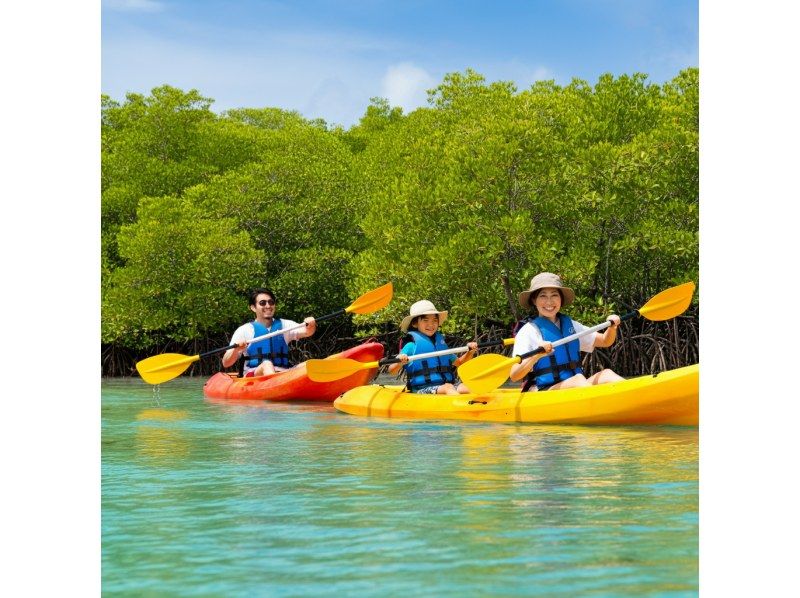 [Ishigaki Island Limited Course] Yaima Village Squirrel Monkey & Nagra Ampar Mangrove Tunnel, SUP or Kayak Free photography, pick-up and drop-off, and admission! Same-day reservations OK YSKの紹介画像