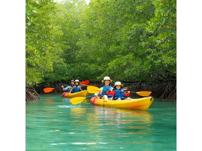 [Ishigaki Island Limited Course] Yaima Village Squirrel Monkey & Nagra Ampar Mangrove Tunnel, SUP or Kayak Free photography, pick-up and drop-off, and admission! Same-day reservations OK YSKの紹介画像