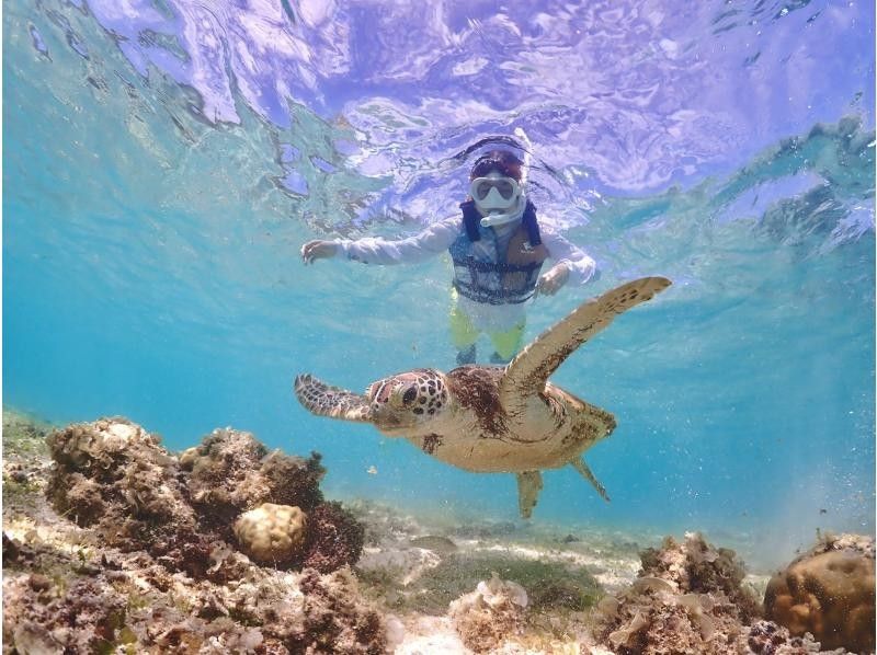 【오키나와 미야코지마】《도 정평》 조우 고확률! 즐겁게 바다 거북을 만날 수있는 스노클 투어 ★ <고화질 데이터 무료>の紹介画像