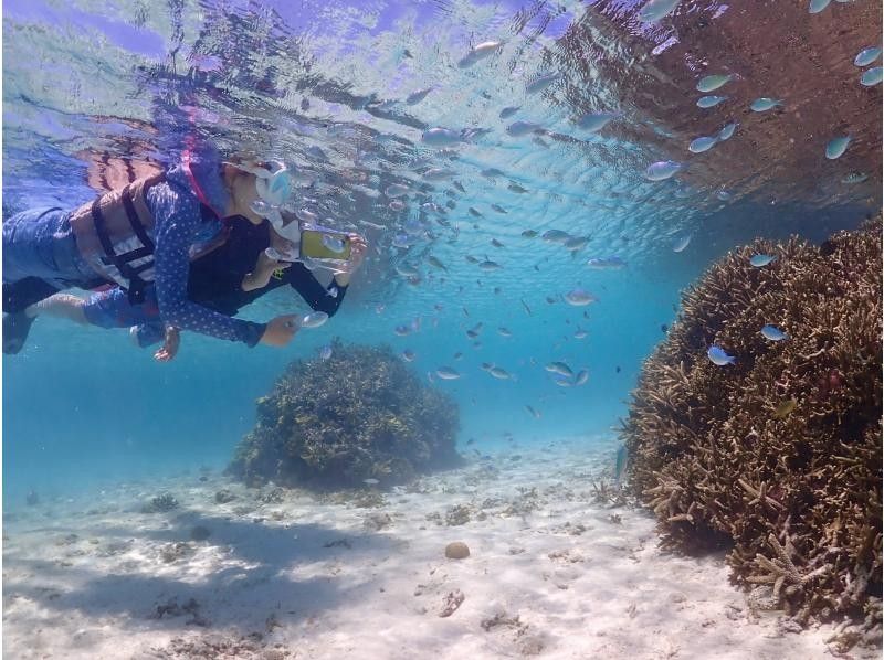 【沖縄・宮古島】ウミガメシュノーケルツアー★追加料金ナシ★写真無料
