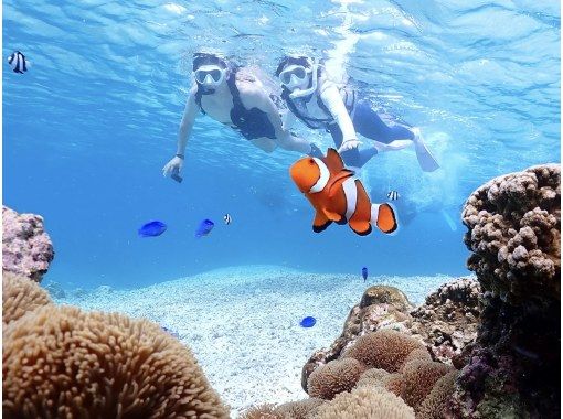【宮古島】0〜70歳までOK!ウミガメ&ニモシュノーケルツアー★ベビーシッター在籍★所要時間1,5時間 【宮古島】0〜70歳までOK!ウミガメ&ニモシュノーケルツアー★ベビーシッター在籍★所要時間1,5時間