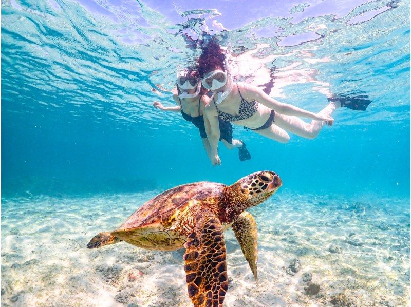 [Okinawa, Miyakojima] A classic: 100% chance of encountering sea turtles! A fun snorkel tour with friends to see sea turtles. Free photo data!の紹介画像