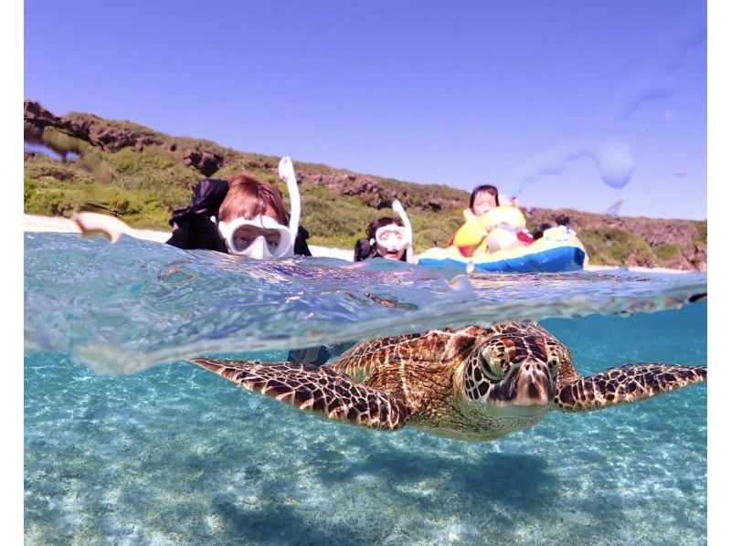 [Okinawa, Miyakojima] A classic: 100% chance of encountering sea turtles! A fun snorkel tour with friends to see sea turtles. Free photo data!の紹介画像