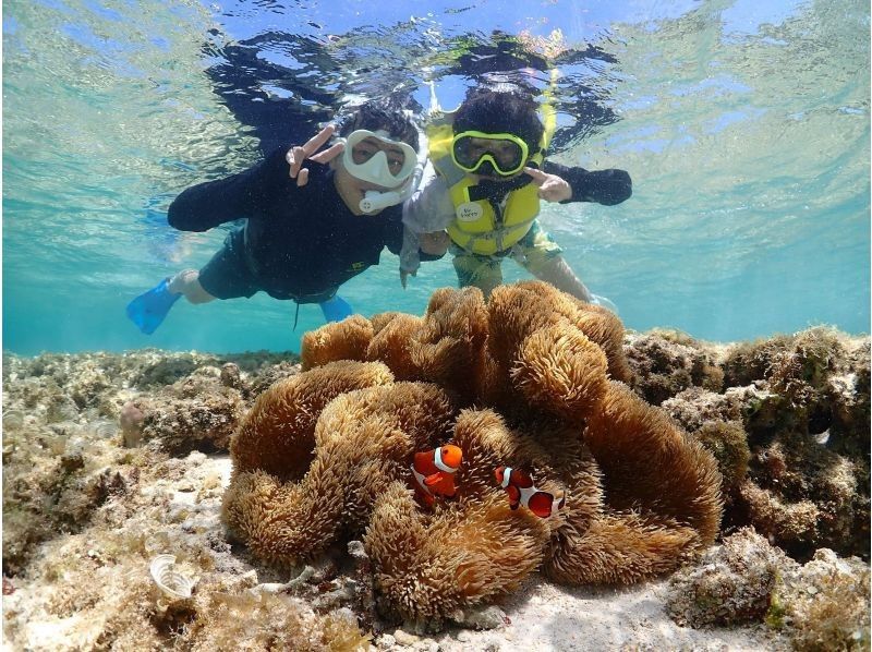 【沖縄・宮古島】ウミガメシュノーケルツアー★追加料金ナシ★写真無料