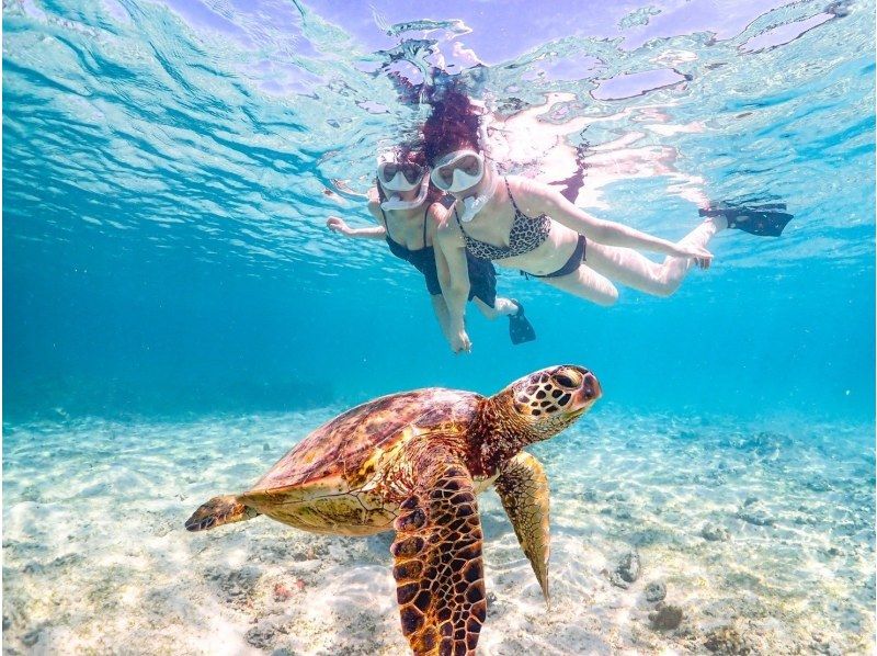 [Okinawa, Miyakojima] Same-day pick-up and drop-off available (a classic) High chance of encountering sea turtles! Enjoy a snorkeling tour where you can encounter sea turtles ★ <Free high-resolution data>の紹介画像