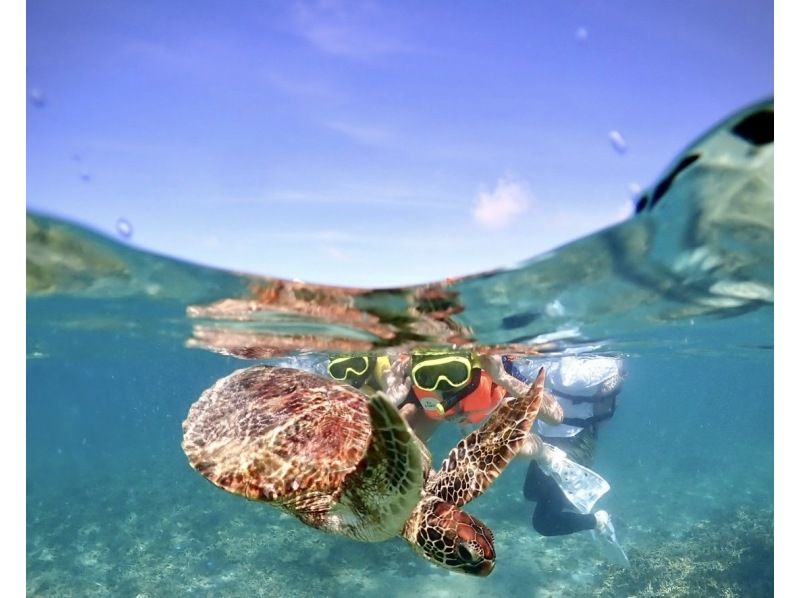 [Okinawa, Miyakojima] Same-day pick-up and drop-off available (a classic) High chance of encountering sea turtles! Enjoy a snorkeling tour where you can encounter sea turtles ★ <Free high-resolution data>の紹介画像