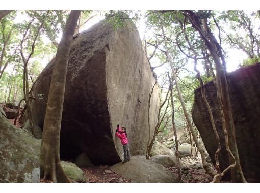 鹿児島 屋久島 生きている自然を満喫 西部林道コース ご夫婦 カップル ご友人と ２名様 1日 アクティビティジャパン