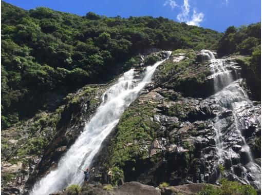 鹿児島 屋久島 生きている自然を満喫 西部林道コース ご夫婦 カップル ご友人と ２名様 1日 アクティビティジャパン