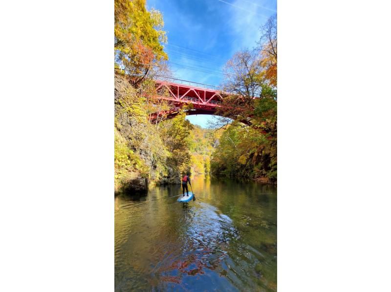[Hokkaido, Sapporo Jozankei] Autumn leaves SUP | Special discount for 5th anniversary | Must-see for first timers! | JSPA certified guides will guide you | SUP tour to experience the nature of Hokkaidoの紹介画像