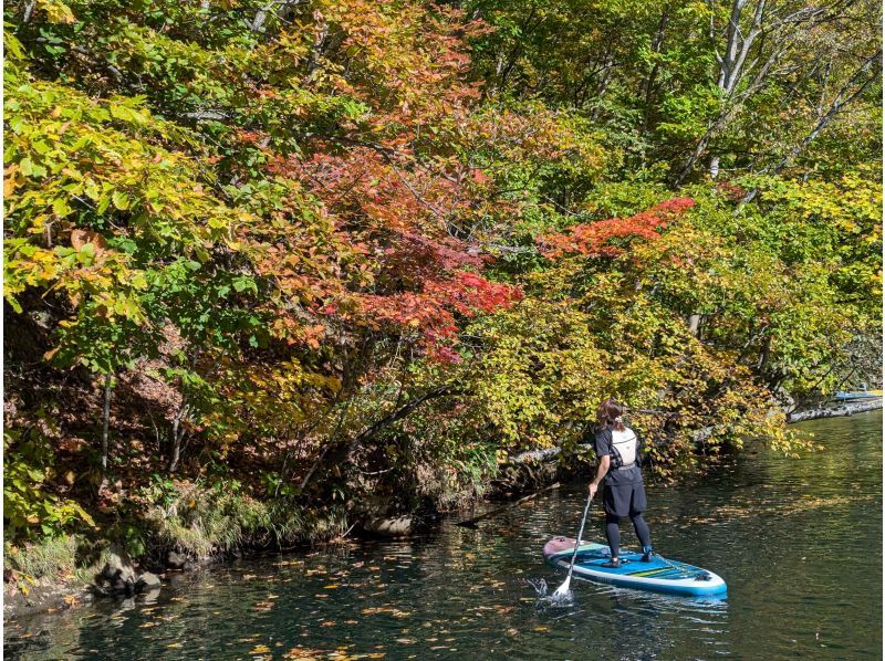 [Hokkaido, Sapporo Jozankei] Autumn leaves SUP | Special discount for 5th anniversary | Must-see for first timers! | JSPA certified guides will guide you | SUP tour to experience the nature of Hokkaidoの紹介画像