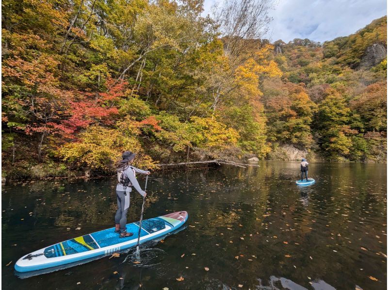 [Hokkaido, Sapporo Jozankei] Autumn leaves SUP | Special discount for 5th anniversary | Must-see for first timers! | JSPA certified guides will guide you | SUP tour to experience the nature of Hokkaidoの紹介画像