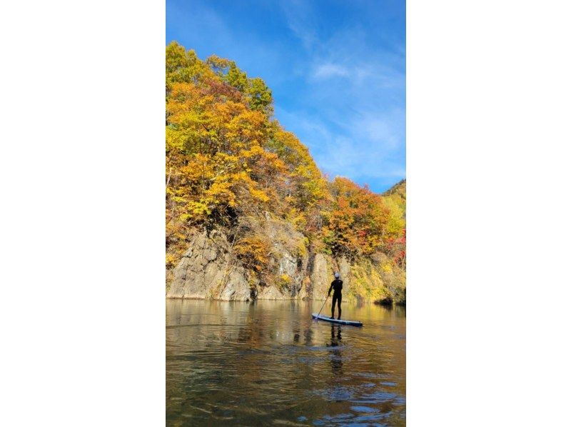 [Hokkaido, Sapporo Jozankei] Autumn leaves SUP | Special discount for 5th anniversary | Must-see for first timers! | JSPA certified guides will guide you | SUP tour to experience the nature of Hokkaidoの紹介画像