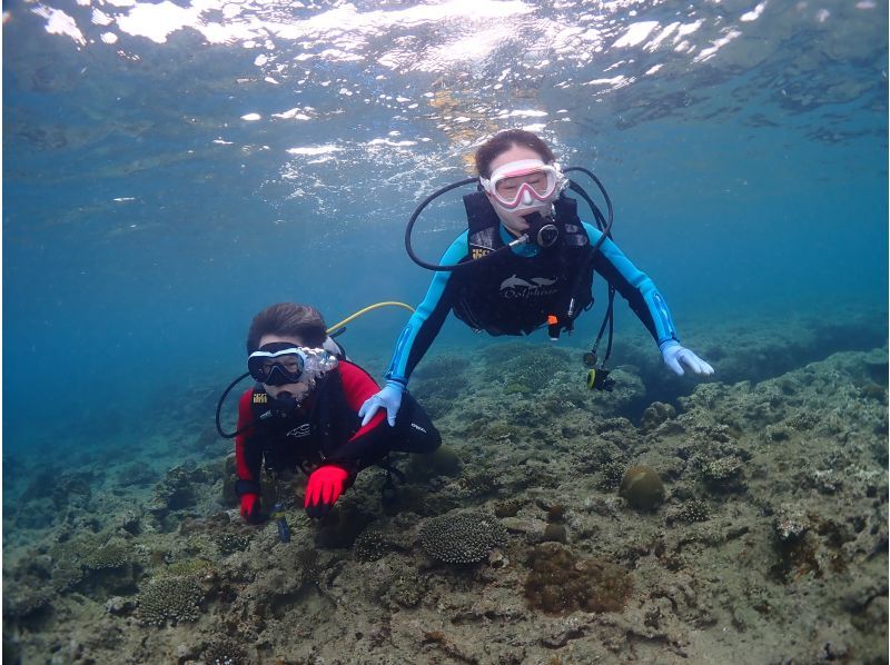 【北谷】体験1本ダイビング❤️当日⭕️手ぶらで参加⭕️インストラクター貸切❤️タオルサンダル餌付け無料❗️プロカメラで撮影写真動画も無料❤️の紹介画像