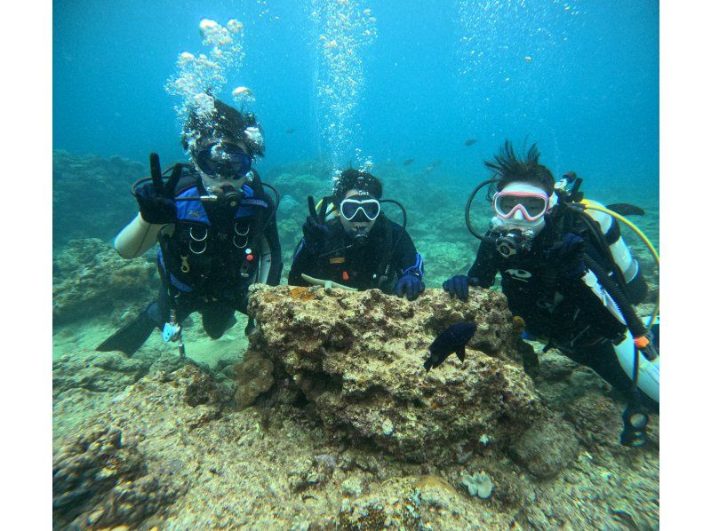 【北谷】体験1本ダイビング❤️当日⭕️手ぶらで参加⭕️インストラクター貸切❤️タオルサンダル餌付け無料❗️プロカメラで撮影写真動画も無料❤️の紹介画像