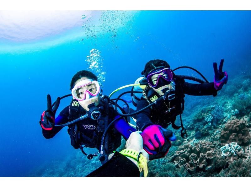 気軽な1ダイブ【北谷・アメリカンビレッジ】ボート体験ダイビング・動画写真プレゼント！カップル・女性グループの紹介画像