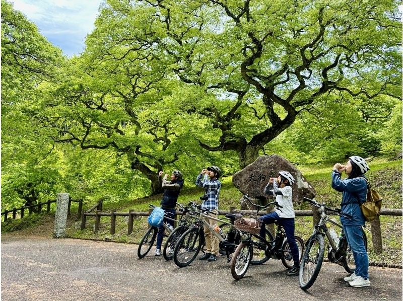 【広島・北広島町】夏もサイクリング＆思いっきり川遊びプラン！1組限定プライベートツアー【ファミリー・グループ向け】　の紹介画像