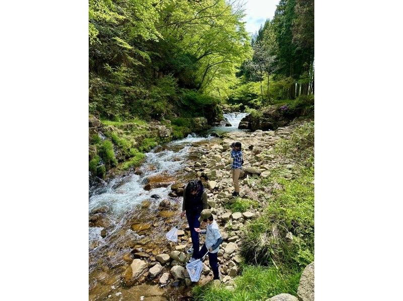 【広島・北広島町】夏もサイクリング＆思いっきり川遊びプラン！1組限定プライベートツアー【ファミリー・グループ向け】　の紹介画像