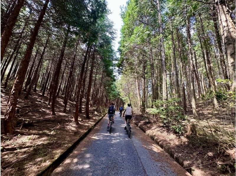 【広島・北広島町】夏もサイクリング＆思いっきり川遊びプラン！1組限定プライベートツアー【ファミリー・グループ向け】　の紹介画像