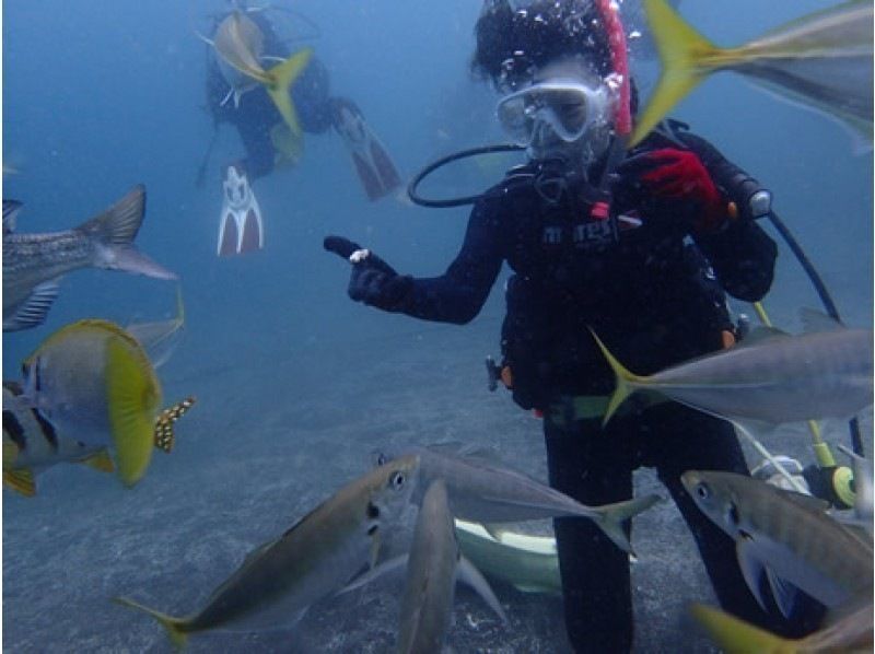 [Shizuoka City, Numazu, Nishiizu, Osezaki] Beginners welcome! Trial diving Enjoy diving in the Izu sea where many fish live Underwater photo details giftの紹介画像