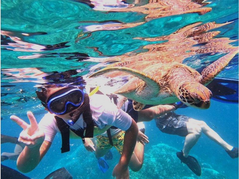 SALE！【限定価格6/10まで 】高遭遇率99％ウミガメシュノーケル＆青の洞窟《写真・動画＋器材＋送迎無料》3才～＆初心者＆1名から可♪の紹介画像