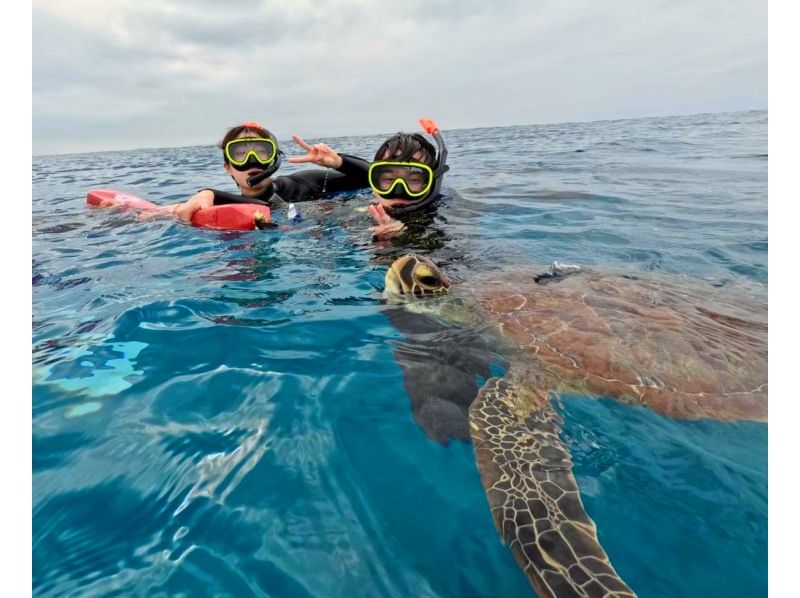 【当日予約OK】★グループ＆学生割★《写真・器材・送迎無料・GoPro貸出可》青の洞窟＆ウミガメ99.9%・ニモ・お魚たちとシュノーケルの紹介画像