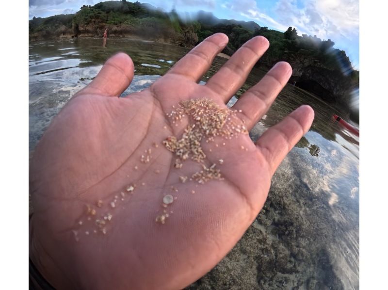 【石垣ブルーを満喫 ウミガメ99.9継続中】青の洞窟＆星砂・クマノミ・お魚たちとシュノーケル！《写真・器材・送迎無料》