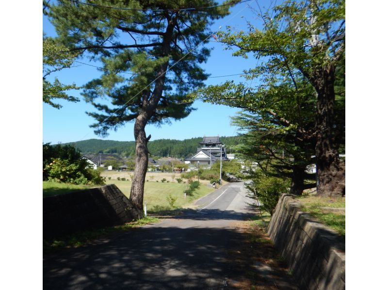 【아키타·유리 혼소】히나모치 만들기와 카메다성 시내 거리 걸음 투어の紹介画像