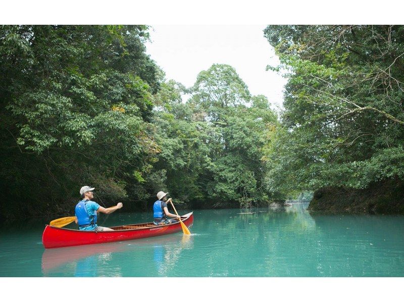 [Mie, Okuise, Canoe] [Clear waters of the Miyagawa River canoe tour] ~ Interact with the waterside forest!の紹介画像