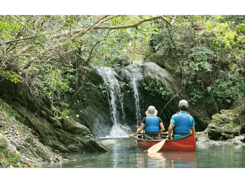 [Mie, Okuise, Canoe] [Clear waters of the Miyagawa River canoe tour] ~ Interact with the waterside forest!の紹介画像