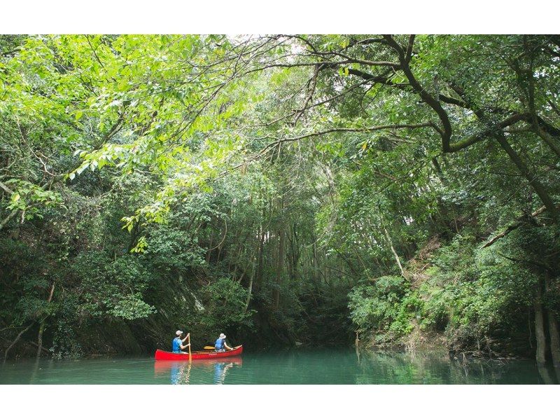 [Mie, Okuise, Canoe] [Clear waters of the Miyagawa River canoe tour] ~ Interact with the waterside forest!の紹介画像