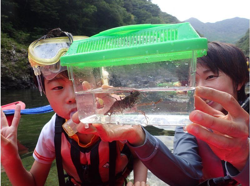 【2 persons more! half-day ・ River Kayak& River play] beginners are welcome! Yakushima Plan to experience the great nature ofの紹介画像