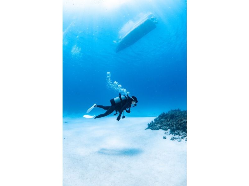 【水納島・瀬底島】 ボートファンダイビング2本　(ライセンス所持者) 写真・動画無料プレゼントの紹介画像