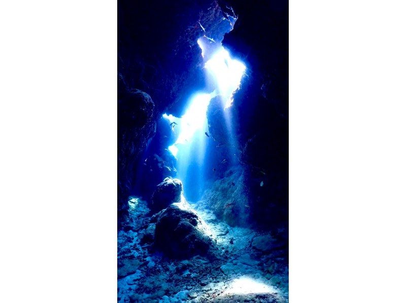 【水納島・瀬底島】 ボートファンダイビング2本　(ライセンス所持者) 写真・動画無料プレゼント
