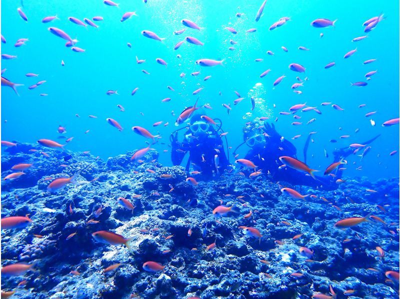 Summer Sale Boat ride experience diving (AM or PM course) Free cancellation Full face mask available & GoPro free, pick-up available [Miyakojima]の紹介画像