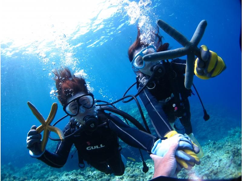 "SALE!" [Okinawa, Minna Island, Sesoko Island] Come empty-handed and enjoy a private boat diving experience with one guide! Excellent visibility! Relax with the coral and white sand!の紹介画像