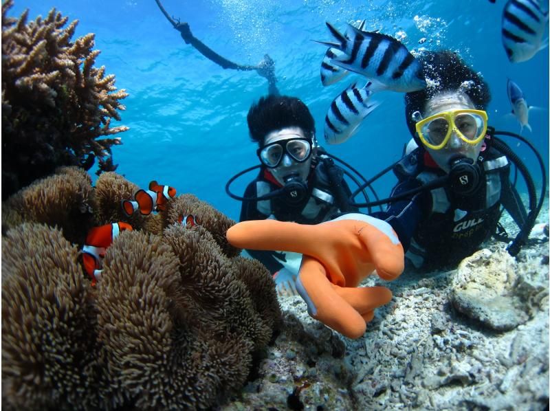 "SALE!" [Okinawa, Minna Island, Sesoko Island] Come empty-handed and enjoy a private boat diving experience with one guide! Excellent visibility! Relax with the coral and white sand!の紹介画像