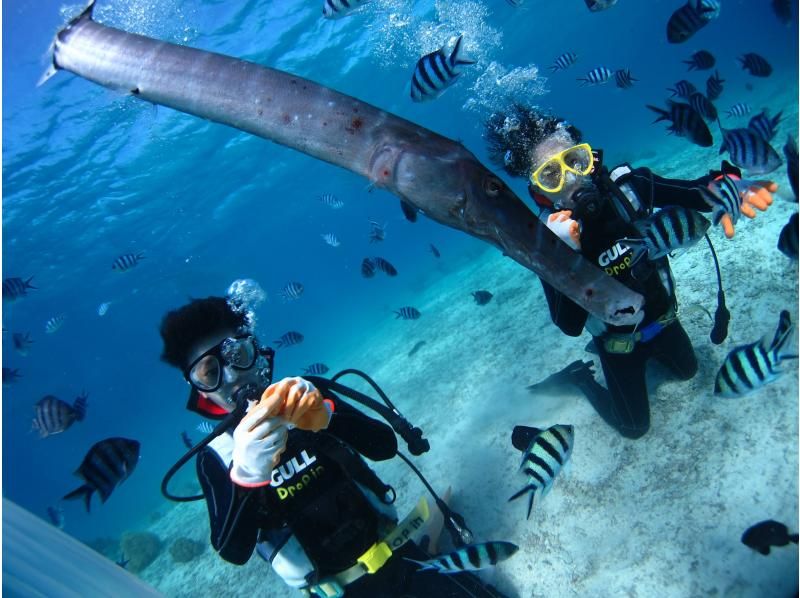 "SALE!" [Okinawa, Minna Island, Sesoko Island] Come empty-handed and enjoy a private boat diving experience with one guide! Excellent visibility! Relax with the coral and white sand!の紹介画像