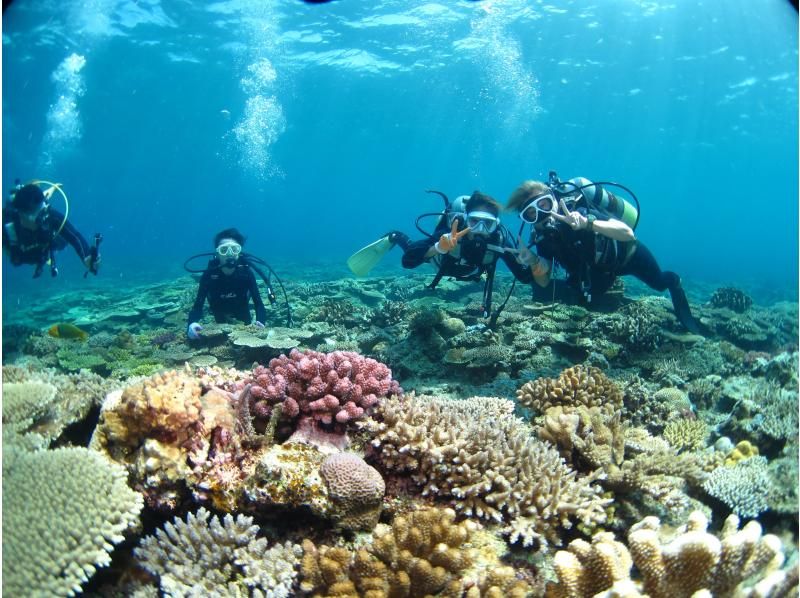 "SALE!" [Okinawa, Minna Island, Sesoko Island] Come empty-handed and enjoy a private boat diving experience with one guide! Excellent visibility! Relax with the coral and white sand!の紹介画像