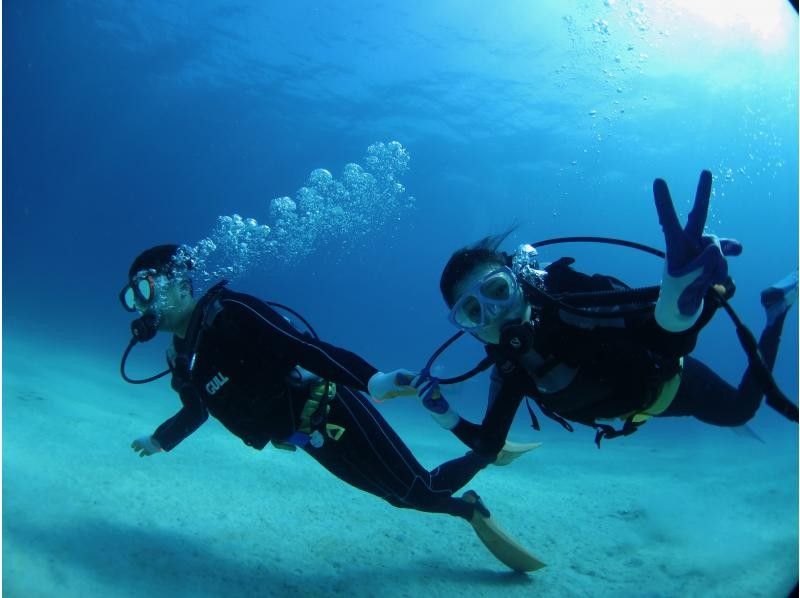 【沖縄・水納島・瀬底島】手ぶらで集合・1組ガイド貸切ボート体験ダイビング！透明度抜群！サンゴ、白い砂地に癒されながら！の紹介画像