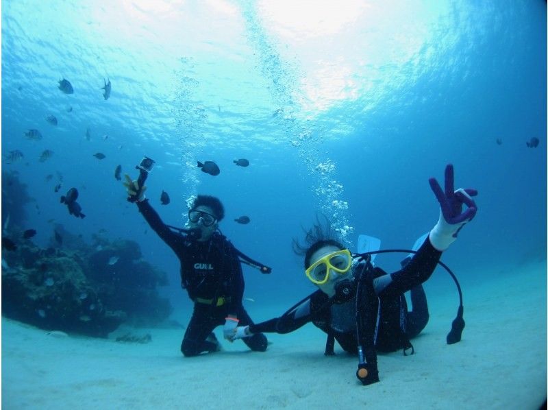 "SALE!" [Okinawa, Minna Island, Sesoko Island] Come empty-handed and enjoy a private boat diving experience with one guide! Excellent visibility! Relax with the coral and white sand!の紹介画像