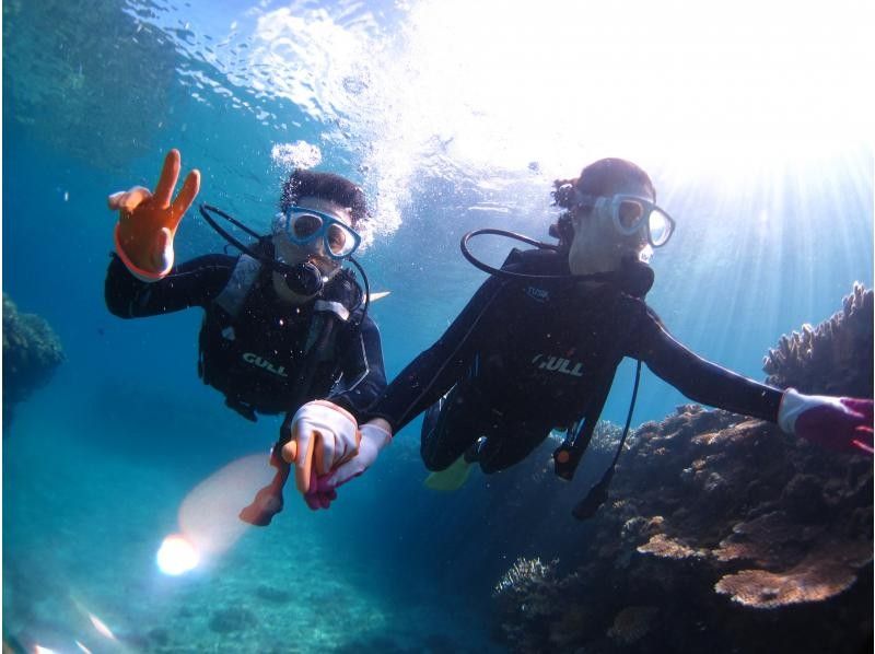 【沖縄・水納島・瀬底島】手ぶらで集合・1組ガイド貸切ボート体験ダイビング！透明度抜群！サンゴ、白い砂地に癒されながら！の紹介画像