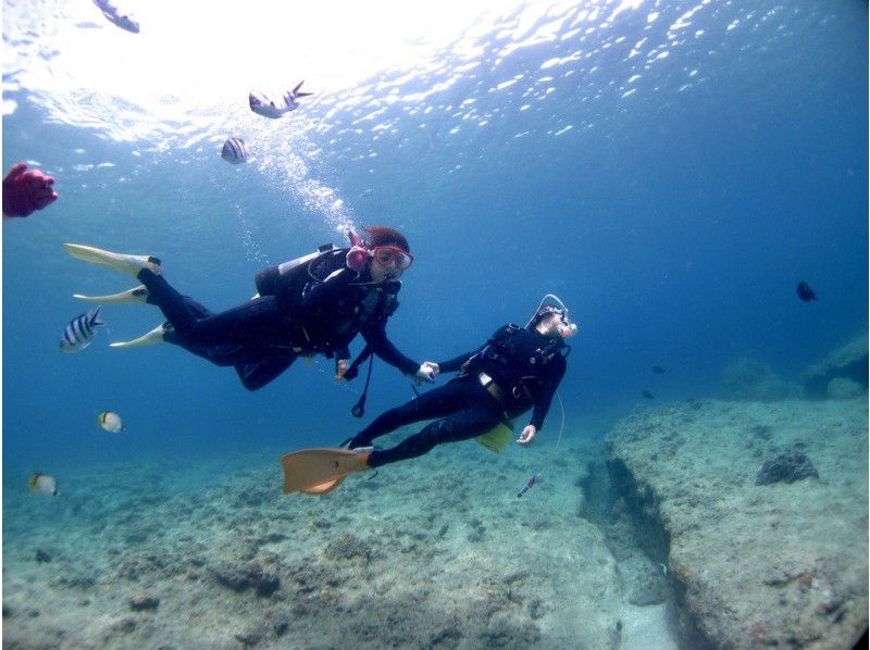 【沖縄・水納島・瀬底島】手ぶらで集合・1組ガイド貸切ボート体験ダイビング！透明度抜群！サンゴ、白い砂地に癒されながら！の紹介画像