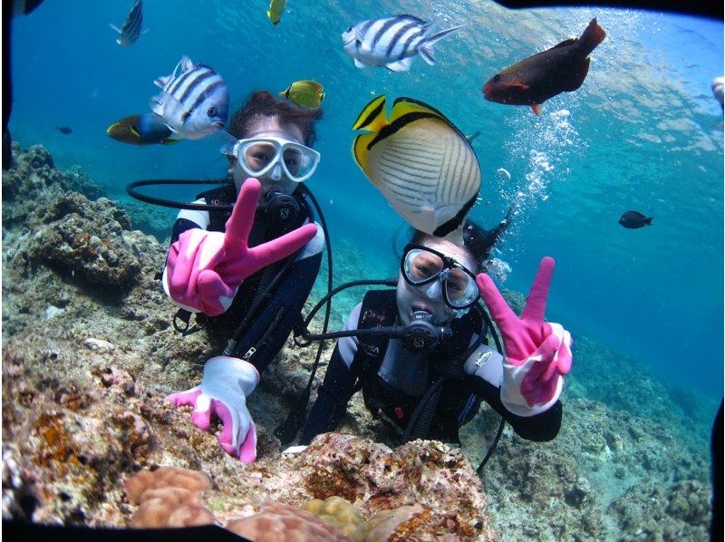 "SALE!" [Okinawa, Minna Island, Sesoko Island] Come empty-handed and enjoy a private boat diving experience with one guide! Excellent visibility! Relax with the coral and white sand!の紹介画像