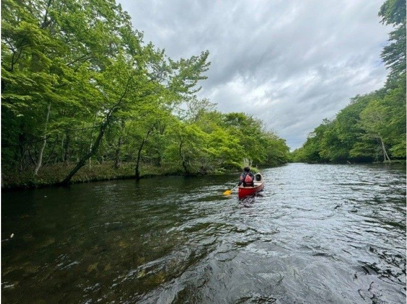 [Hokkaido, Chitose River] [Canadian Canoe Standard Course] Canoe down the crystal clear Chitose River through the lush forestの紹介画像