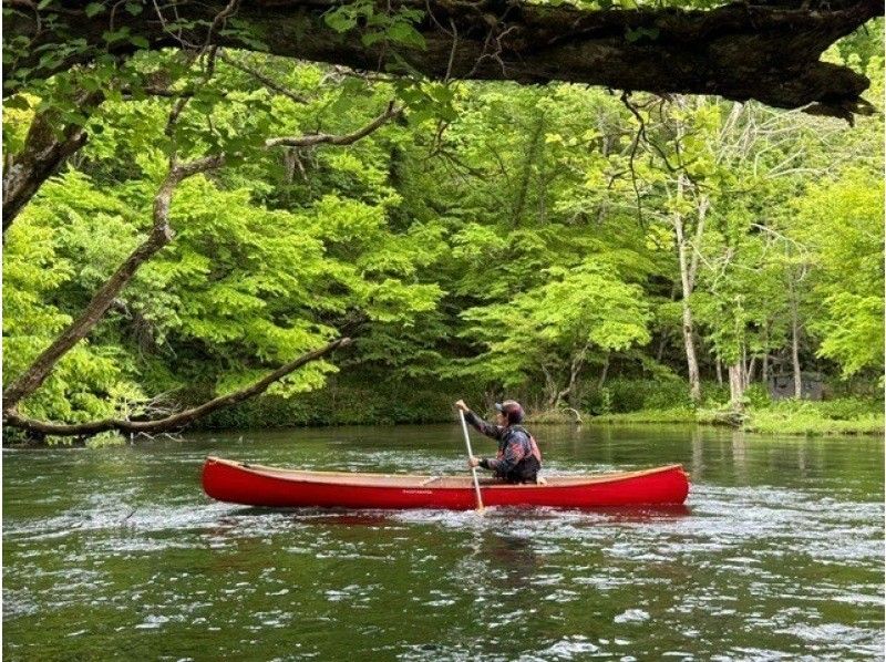【北海道・千歳川】《カナディアンカヌー　標準コース》鮭の遡上シーズン到来！豊かな森を流れる透明度の高い千歳川をカヌーで優雅に下ろう！の紹介画像