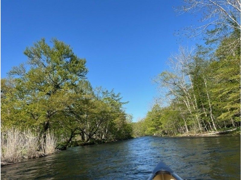 【北海道・千歳川】《カナディアンカヌー　標準コース》豊かな森の中、透明度の高い千歳川をカヌーで下ろうの紹介画像