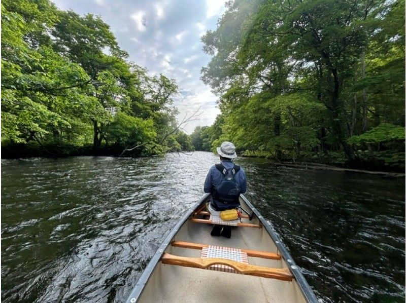 【北海道・千歳川】《カナディアンカヌー　標準コース》豊かな森の中、透明度の高い千歳川をカヌーで下ろうの紹介画像